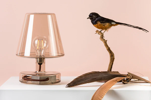 Transloetje Table Lamp - Image 8
